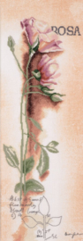 Home and Garden - Botanisch Rosa (linnen)