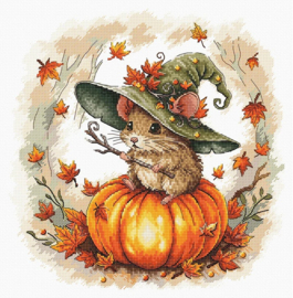 153 - Borduurpakket AVA Stitch - Little Wizard - Kleine Tovenaar