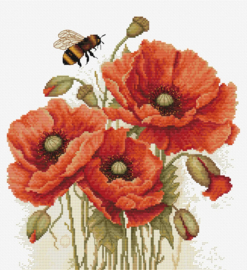 B7042  Borduurpakket Luca-S - Splendor of Summer Poppies - De pracht van Zomerklaprozen
