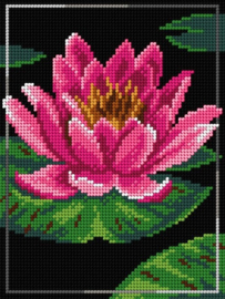 FLOWERS - ORCHIDEA 18 x 24 (SET/3) (GARENSET)