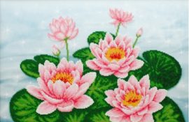 KRALEN BORDUURPAKKET - Water Lily - Waterlelies - 0985