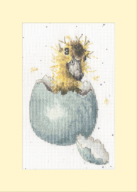Borduurpakket Hannah Dale - Peek-a-boo - Bothy Threads - Kaart