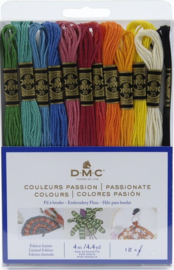 DMC MOULINÉ PACK PASSIONATE 12 STRENGEN (4mtr per streng)