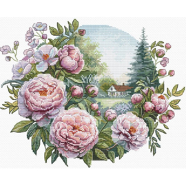 ANP-79 - Peony tenderness - Tederheid van Pioenrozen - Andriana