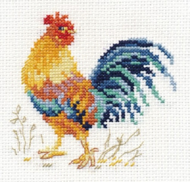 0-172 ANIMAL PORTRAITS. ROOSTER