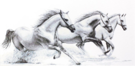 B 495 WHITE HORSES (aida)