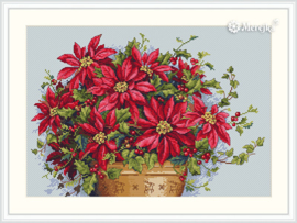 POINSETTIA (132)