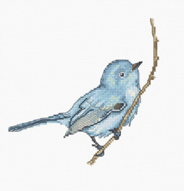 B1158 BLUEBIRD (aida)