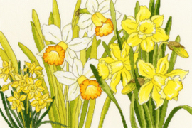 BORDUURPAKKET DAFFODIL BLOOMS - BOTHY THREADS