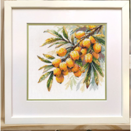 1734  Borduurpakket -  A sprig of sea buckthorn - OVEN