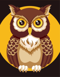 Schilderen op nummer Mini - Owl - Wizardi
