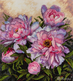 TENDER PEONIES (177)