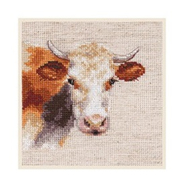 0-213 Koe (Cow) - Alisa