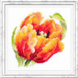 SMALL FLOWER: RED TULIP