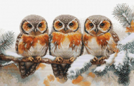 Dieren