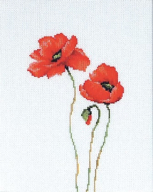 B2225 POPPIES (aida)