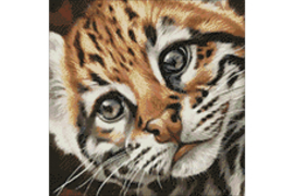 OCELOT KITTEN WD2427 38 x 38 cm