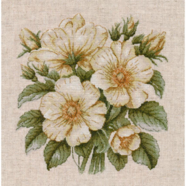 1731  Borduurpakket - Wild rose hips - OVEN