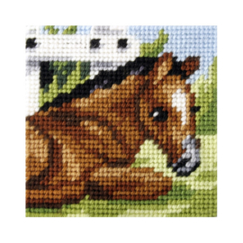 9603 - MY FIRST EMBROIDERY - ORCHIDEA - LIGGEND PAARDJE