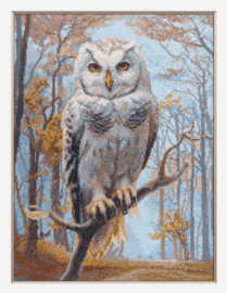 A1016 - Borduurpakket Wildwood Owl - Wilde Uil - Aine