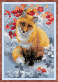 1510 - FOX - VOS - RIOLIS