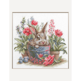 A1030 - Borduurpakket Rabbit in a Pot - Aine