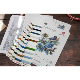 B2418 Borduurpakket Luca-S - The Birds - Winter