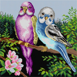 3585 - Parkietjes 40x40 cm (STRAMIEN)