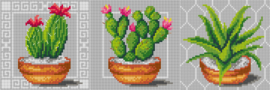 3401/02/03 - SET VAN 3 - CACTUSSEN - ORCHIDEA 15 x 15 cm (3 x STRAMIEN)