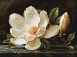 B713 Borduurpakket Luca-S - The Magnolia Dew