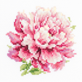 SMALL FLOWER: PEONY