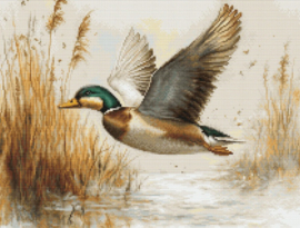 B730 Borduurpakket Luca-S - Golden Flight - Gouden Vlucht