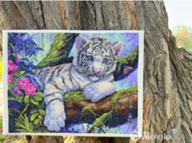 White Tiger - Merejka (260)