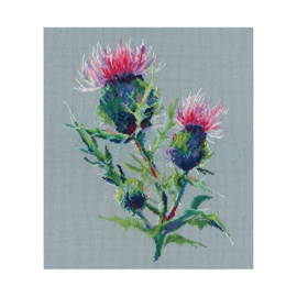 1595 Thistle S1595 - OVEN