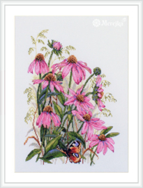 CONEFLOWERS (124)