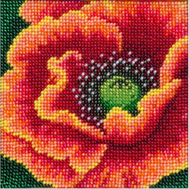 KRALEN BORDUURPAKKET - Flaming flower - Vlammende bloem - 1032
