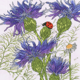 BORDUURPAKKET FAY MARTIN - CORNFLOWER GARDEN - BOTHY THREADS