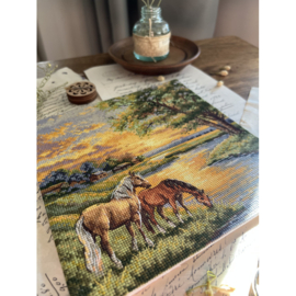 ANR-58 - Native Land - Geboorteland - Andriana