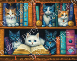 LT07 Book Shelf - Diamond Painting - Letistitch