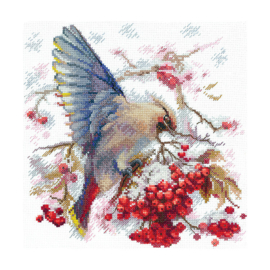 SANS-72 - Waxwing - Wasvleugel - Andriana