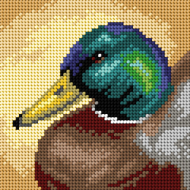 3513 - Mallard Duck - ORCHIDEA 15 x 15 (STRAMIEN)