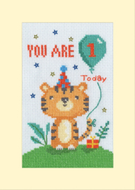 Borduurpakket Dale Simpson - Wild Birthday - Bothy Threads - Kaart