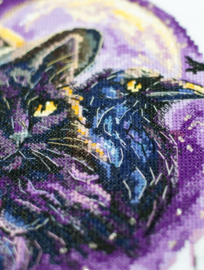 AH-306 Borduurpakket ABRIS ART -  Magic Shadows