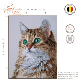 Animals - De perfecte Starende Blik - (Aida) - Limited Edition