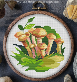 BORDUURPAKKET HONEY FUNGUS MUSHROOM - C1002