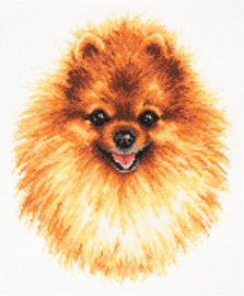 DOG: POMERANIAN