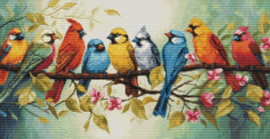 BU5062  Borduurpakket Luca-S - The Song of the Birds - Het lied van de Vogels