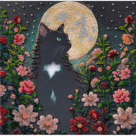 AMB136 KRALEN BORDUURPAKKET Can't Sleep - Kan niet Slapen