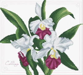 VOORBEDRUKT BORDUURPAKKET BOUQUET OF ORCHIDS - NEEDLEART WORLD