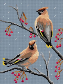 3592 - Birds - Waxwings -  ORCHIDEA 30 x 40 (STRAMIEN)